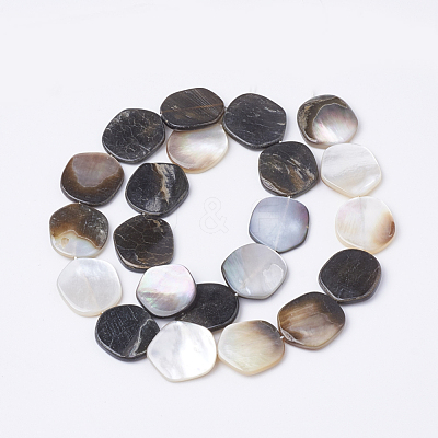 Black Lip Shell Beads Strands BSHE-T002-02-1