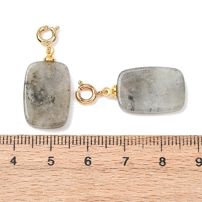 Natural Labradorite Pendant Decorations G-G461-01G-07-1