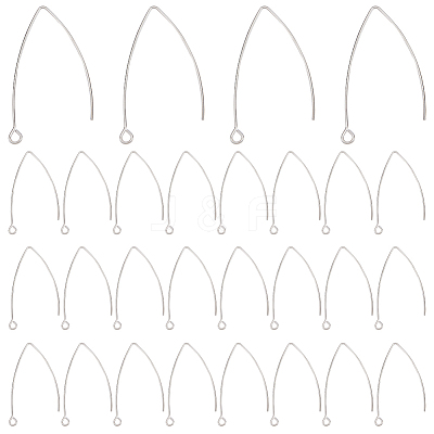 304 Stainless Steel Earring Hooks STAS-PH0018-18-1