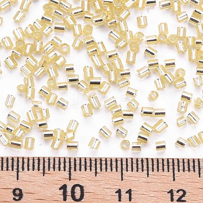 Glass Bugle Beads SEED-S032-08A-22-1