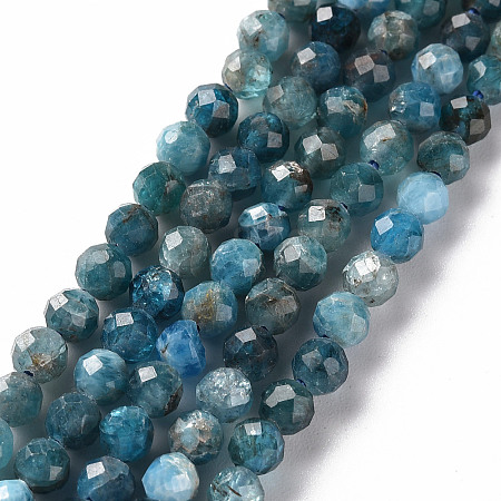 Natural Apatite Beads Strands X-G-S362-110C-1