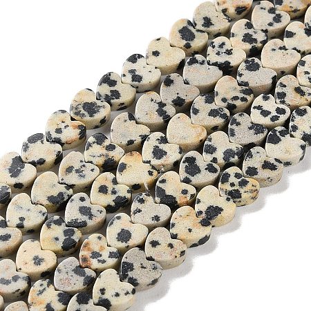 Natural Dalmatian Jasper Beads Strands G-M403-A31-02-1