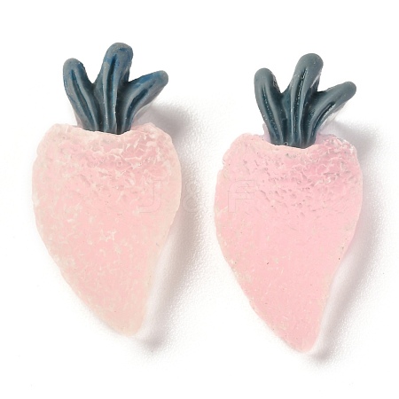 Frosted Resin Cabochons CRES-J046-02G-1