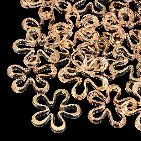 Transparent Acrylic Beads AC-N166-10F-1