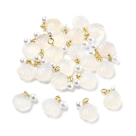 Natural Agate Shell Shaped Pendants G-U025-06G-1