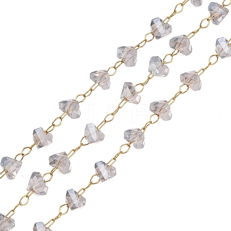 Glass & 304 Stainless Steel Beaded Chains SA-CBAD321-04A-1