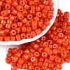 Opaque Baking Paint Glass Seed Beads SEED-T008-02J-1