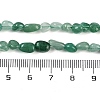 Natural Green Aventurine Beads Strands LS-G-P497-01B-20-5