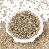 Picasso Baking Paint Glass Seed Beads SEED-N007-35A-2