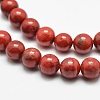 Natural Howlite Beads X-G-G904-8mm-03-2