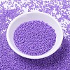 MIYUKI Delica Beads SEED-X0054-DB1379-2