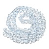 Baking Paint Transparent Glass Beads Strands DGLA-A07-T8mm-KD05-2