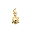 Brass Charms KK-Z135-14A-G-1