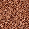 MIYUKI Delica Beads SEED-X0054-DB2107-3