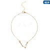 Twelve Constellation Alloy Crystal Rhinestone Link Chain Anklets for Women FS-WG97E4C-12-1