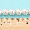 Electroplated Natural Shell Beads Strands SHEL-F008-03B-01-4