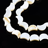 Natural Freshwater Shell Beads Strands SHEL-N026-151-3