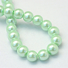 Baking Paint Pearlized Glass Pearl Round Bead Strands HY-Q003-12mm-04-3