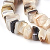Freshwater Shell Beads Strands BSHE-O017-09-3
