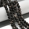 Natural Silver Obsidian Beads Strands G-S150-20A-8mm-2