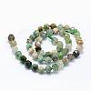 Natural Chrysoprase Beads Strands G-F523-34-6mm-2