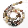 Natural Botswana Agate Nuggets Beads Strands G-L154-03-3