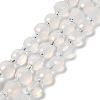 Natural White Agate Beads Strands G-B153-A02-2