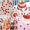 300Pcs Strawberry Party Theme Paper Confetti DIY-SC0029-69-4