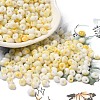 Baking Paint Glass Seed Beads SEED-F006-01A-01-1