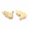 201 Stainless Steel Pendants STAS-N109-223G-2
