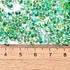 Transparent Baking Paint Glass Seed Beads SEED-A033-06A-18-4