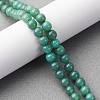 Natural Green Onyx Agate(Dyed & Heated) Beads Strands G-K393-A03-6mm-1