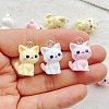 Opaque Resin Pendants RESI-F065-02-1