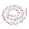 Natural Cultured Freshwater Pearl Beads Strands PEAR-N014-07G-2