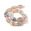 Natural Cherry Blossom Agate Beads Strands G-NH0010-H02-01-3