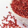 11/0 Two Cut Glass Seed Beads CSDB25-1