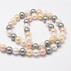 Shell Pearl Bead Strands BSHE-L017-17-4