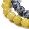 Natural Blue Spot Jasper/Flower Amazonite/Labradorite/Sesame Jasper/Glass Beads Strands G-P562-C-03-4