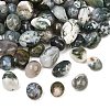 Natural Moss Agate Beads GG-CBAD0F6-A17-01-1