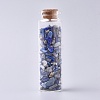 Glass Wishing Bottle LS-DJEW-L013-A17-1