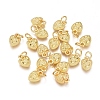 Electroplated Alloy Charms X-PALLOY-G267-10G-1