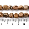 Natural Picture Jasper Beads Strands G-G146-A01-02-5