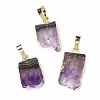 Rough Raw Natural Amethyst Slice Pendants G-K324-03G-1