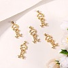 5Pcs Rack Plating Brass Micro Pave Cubic Zirconia Pendants ZIRC-SZ0003-73-3