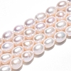 Natural Cultured Freshwater Pearl Beads Strands PEAR-N012-23C-01-2