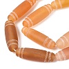Natural Agate Beads Strands G-Q606-42F-4