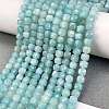 Natural Amazonite Beads Strands G-L587-C01-01-2