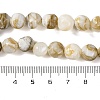 Natural Freshwater Shell Beads Strands BSHE-S304-03-4