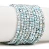 Natural Larimar Beads Strands G-F803-C01-03A-2