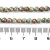 Natural Maifanite/Maifan Stone Beads Strands X-G-P451-01C-E-3